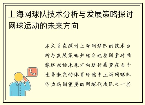 上海网球队技术分析与发展策略探讨网球运动的未来方向