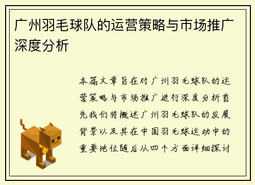 广州羽毛球队的运营策略与市场推广深度分析