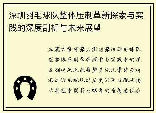 深圳羽毛球队整体压制革新探索与实践的深度剖析与未来展望
