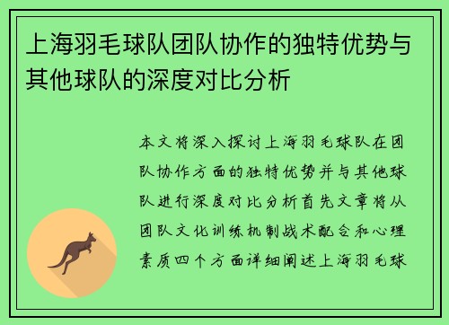 上海羽毛球队团队协作的独特优势与其他球队的深度对比分析